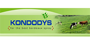 Kondodys Logo